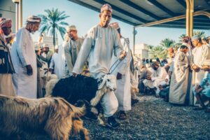 Nizwa-cattle-market